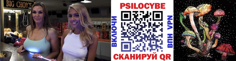 Псилоцибиновые грибы Psilocybe  kraken   Багратионовск 